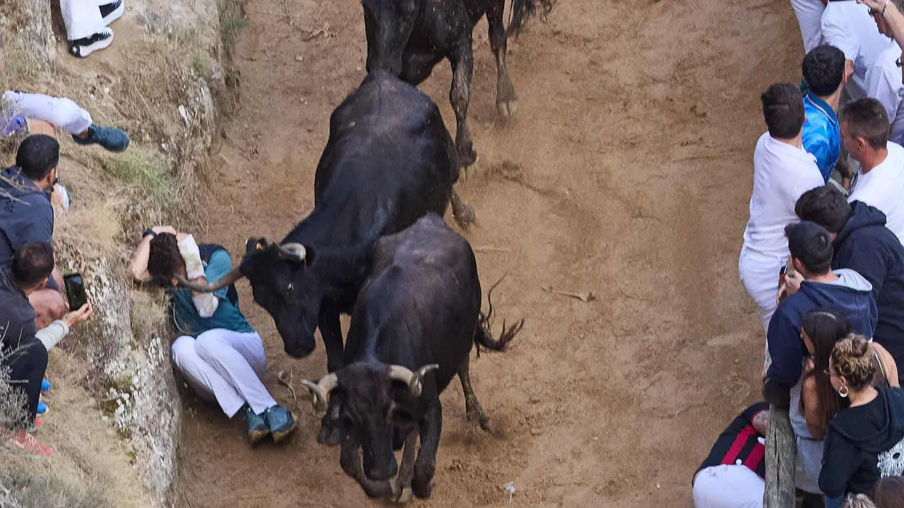 &Uacute;ltimo encierro del Pil&oacute;n de Falces 2026. I&Ntilde;IGO ALZUGARAY