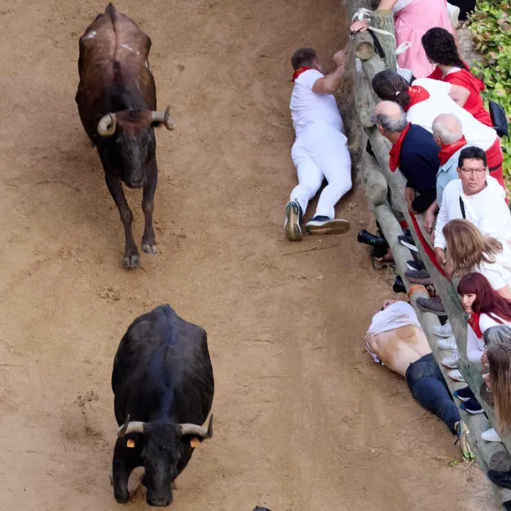 &Uacute;ltimo encierro del Pil&oacute;n de Falces 2026. I&Ntilde;IGO ALZUGARAY