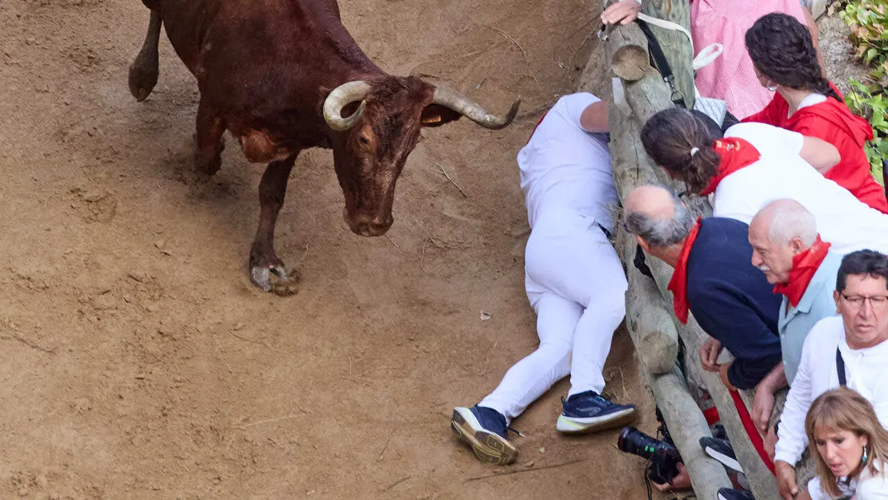 &Uacute;ltimo encierro del Pil&oacute;n de Falces 2026. I&Ntilde;IGO ALZUGARAY