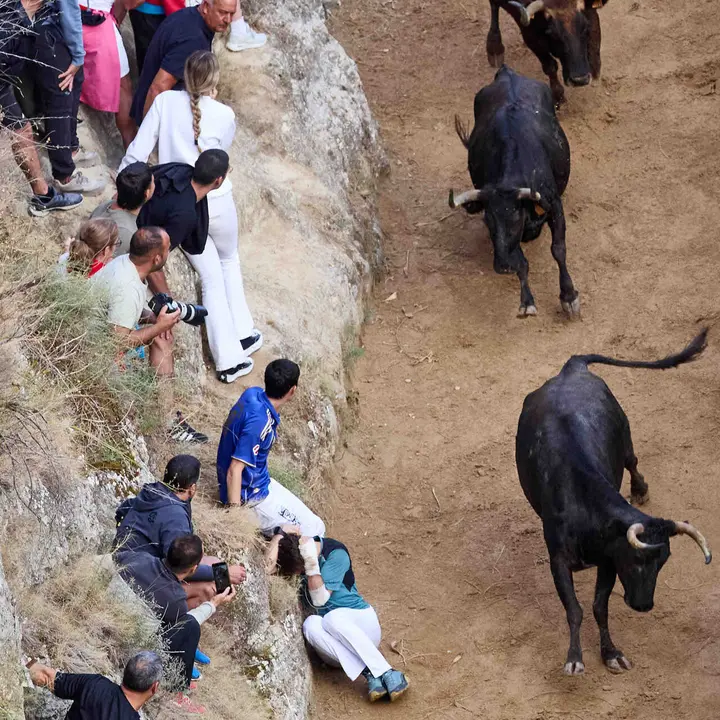 &Uacute;ltimo encierro del Pil&oacute;n de Falces 2026. I&Ntilde;IGO ALZUGARAY
