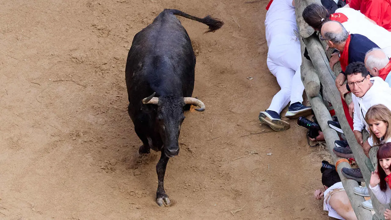 &Uacute;ltimo encierro del Pil&oacute;n de Falces 2026. I&Ntilde;IGO ALZUGARAY