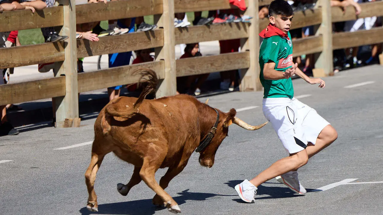 Suelta de vaquillas en las Fiestas de Berriozar 2026. I&Ntilde;IGO ALZUGARAY