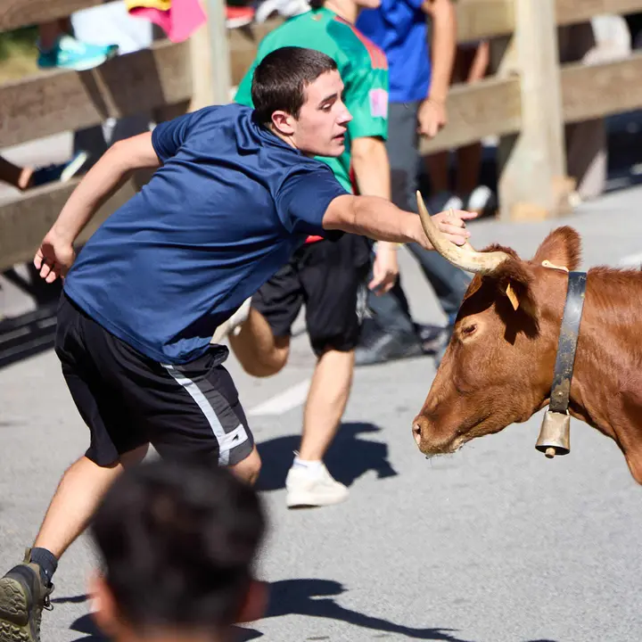 Suelta de vaquillas en las Fiestas de Berriozar 2026. I&Ntilde;IGO ALZUGARAY