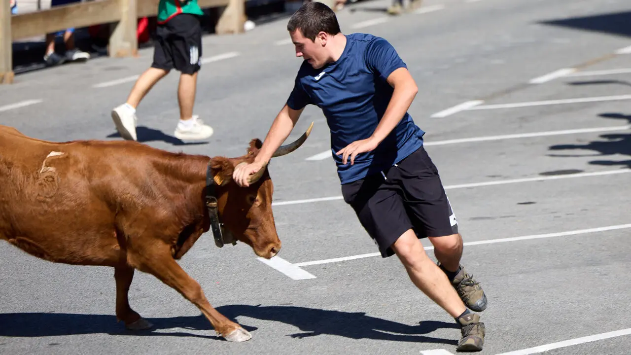 Suelta de vaquillas en las Fiestas de Berriozar 2026. I&Ntilde;IGO ALZUGARAY