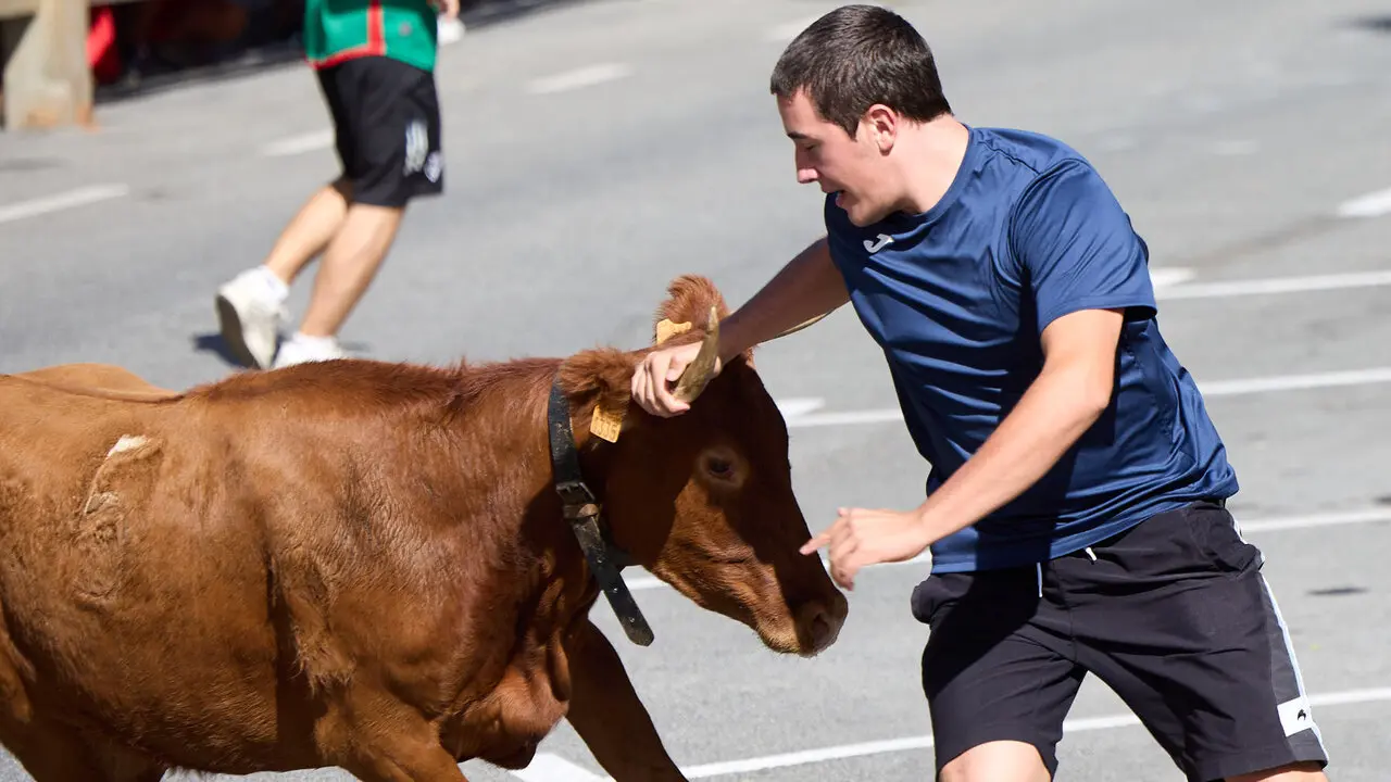 Suelta de vaquillas en las Fiestas de Berriozar 2026. I&Ntilde;IGO ALZUGARAY
