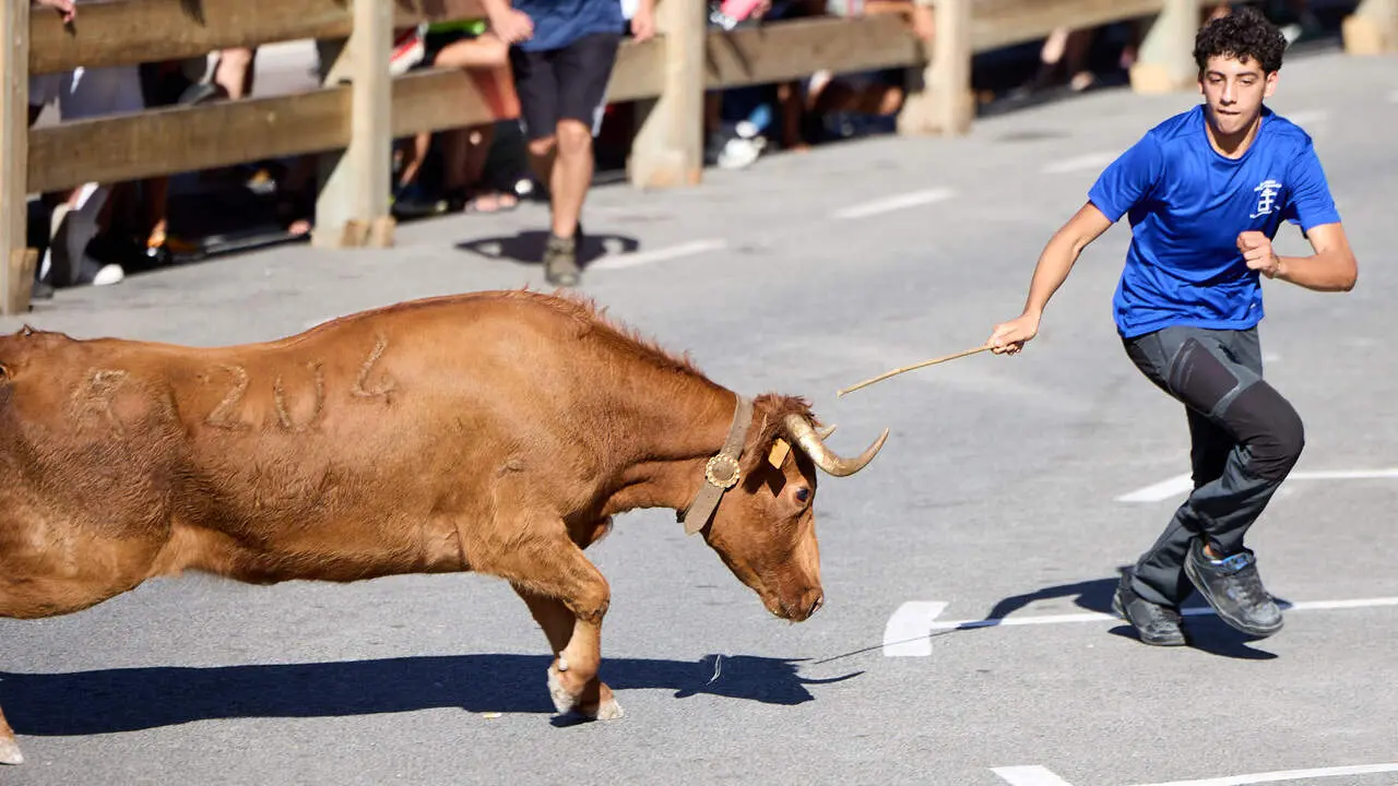 Suelta de vaquillas en las Fiestas de Berriozar 2026. I&Ntilde;IGO ALZUGARAY
