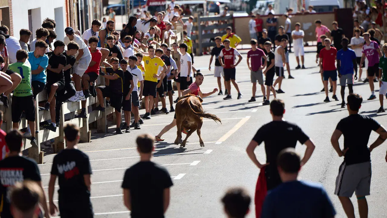 Suelta de vaquillas en las Fiestas de Berriozar 2026. I&Ntilde;IGO ALZUGARAY