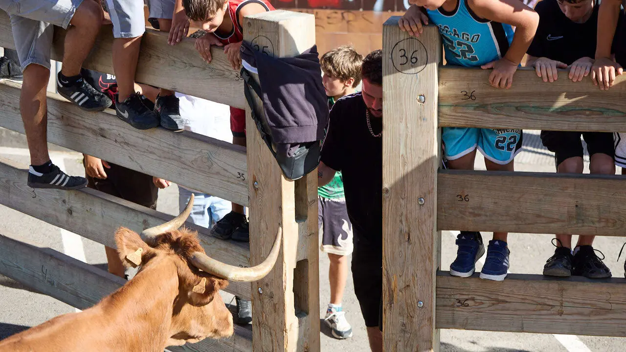 Suelta de vaquillas en las Fiestas de Berriozar 2026. I&Ntilde;IGO ALZUGARAY