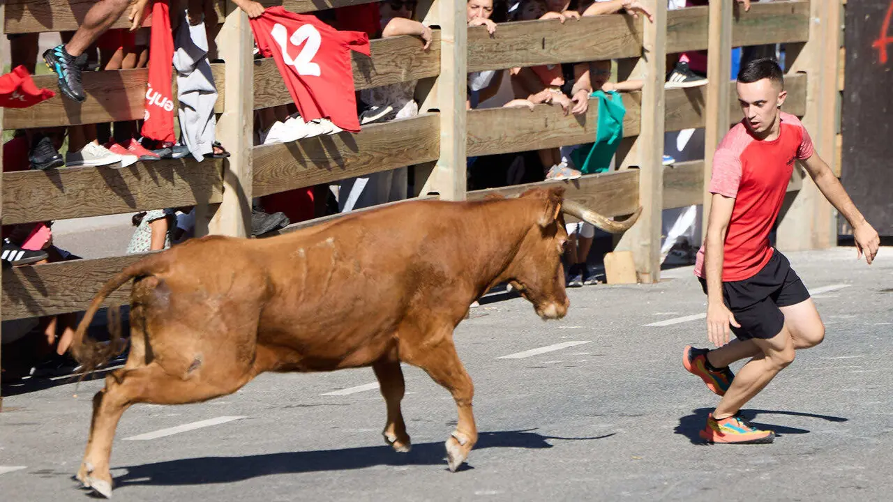 Suelta de vaquillas en las Fiestas de Berriozar 2026. I&Ntilde;IGO ALZUGARAY