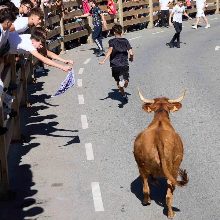 Suelta de vaquillas en las Fiestas de Berriozar 2026. I&Ntilde;IGO ALZUGARAY