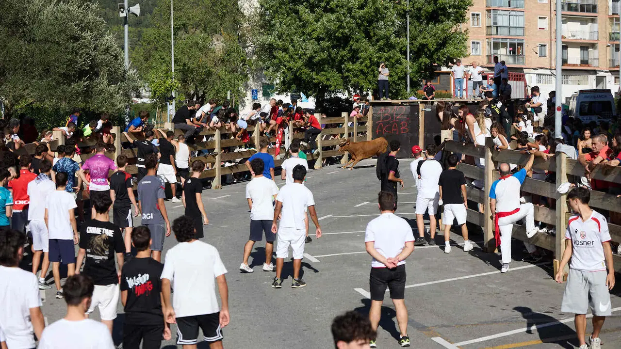 Suelta de vaquillas en las Fiestas de Berriozar 2026. I&Ntilde;IGO ALZUGARAY