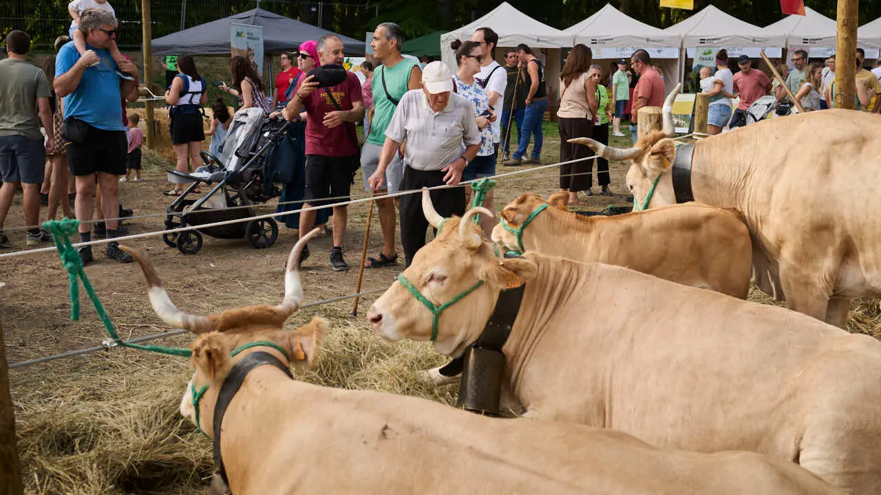 Feria ganadera &lsquo;Autentika&rsquo; en el Parque de la Runa de Pamplona. PABLO LASAOSA