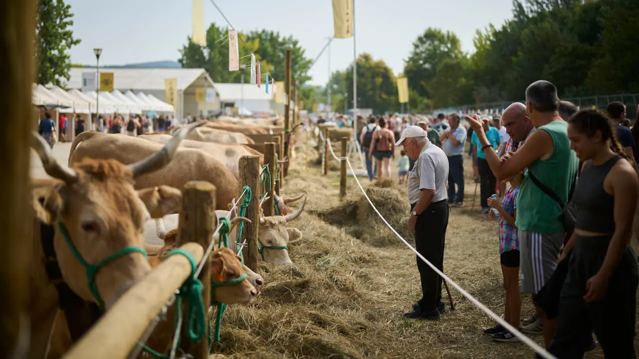 Feria ganadera &lsquo;Autentika&rsquo; en el Parque de la Runa de Pamplona. PABLO LASAOSA