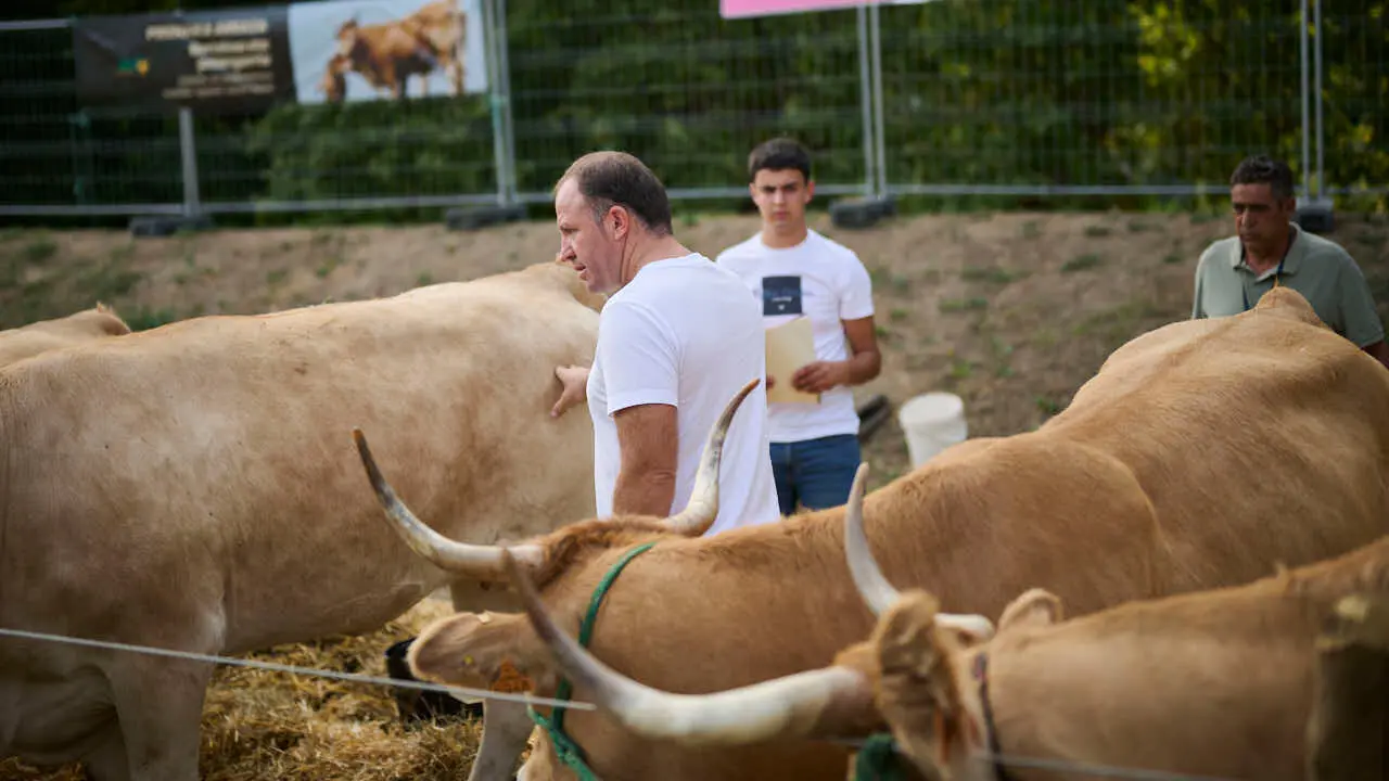 Feria ganadera &lsquo;Autentika&rsquo; en el Parque de la Runa de Pamplona. PABLO LASAOSA