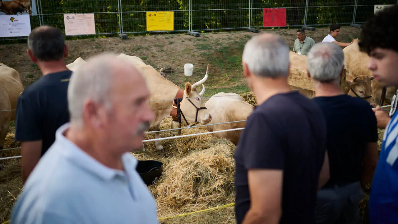 Feria ganadera &lsquo;Autentika&rsquo; en el Parque de la Runa de Pamplona. PABLO LASAOSA