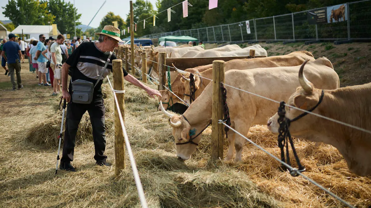 Feria ganadera &lsquo;Autentika&rsquo; en el Parque de la Runa de Pamplona. PABLO LASAOSA