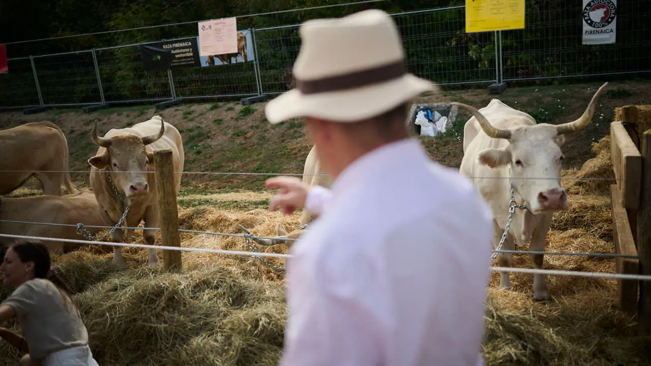Feria ganadera &lsquo;Autentika&rsquo; en el Parque de la Runa de Pamplona. PABLO LASAOSA