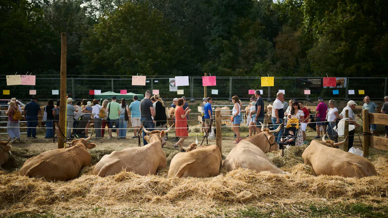 Feria ganadera &lsquo;Autentika&rsquo; en el Parque de la Runa de Pamplona. PABLO LASAOSA