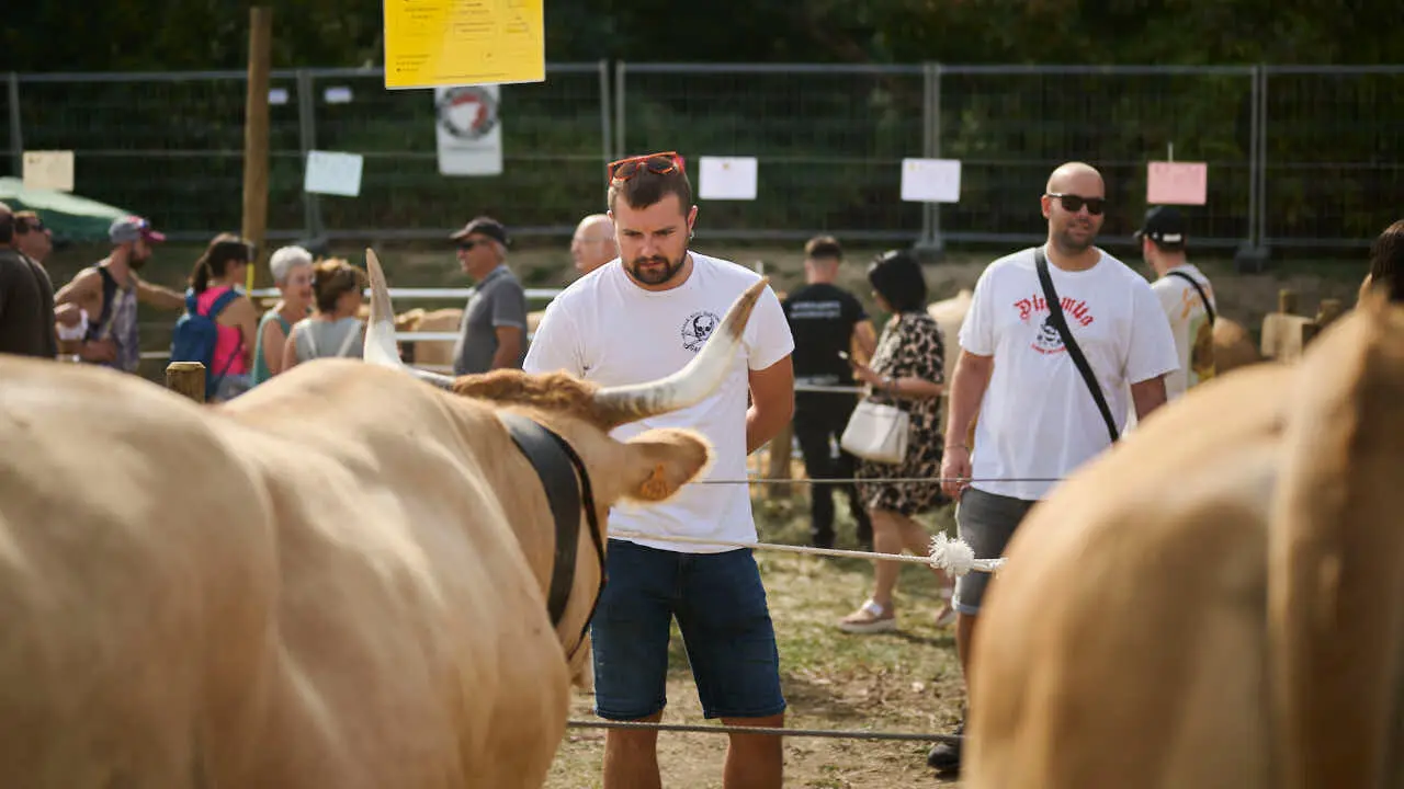 Feria ganadera &lsquo;Autentika&rsquo; en el Parque de la Runa de Pamplona. PABLO LASAOSA