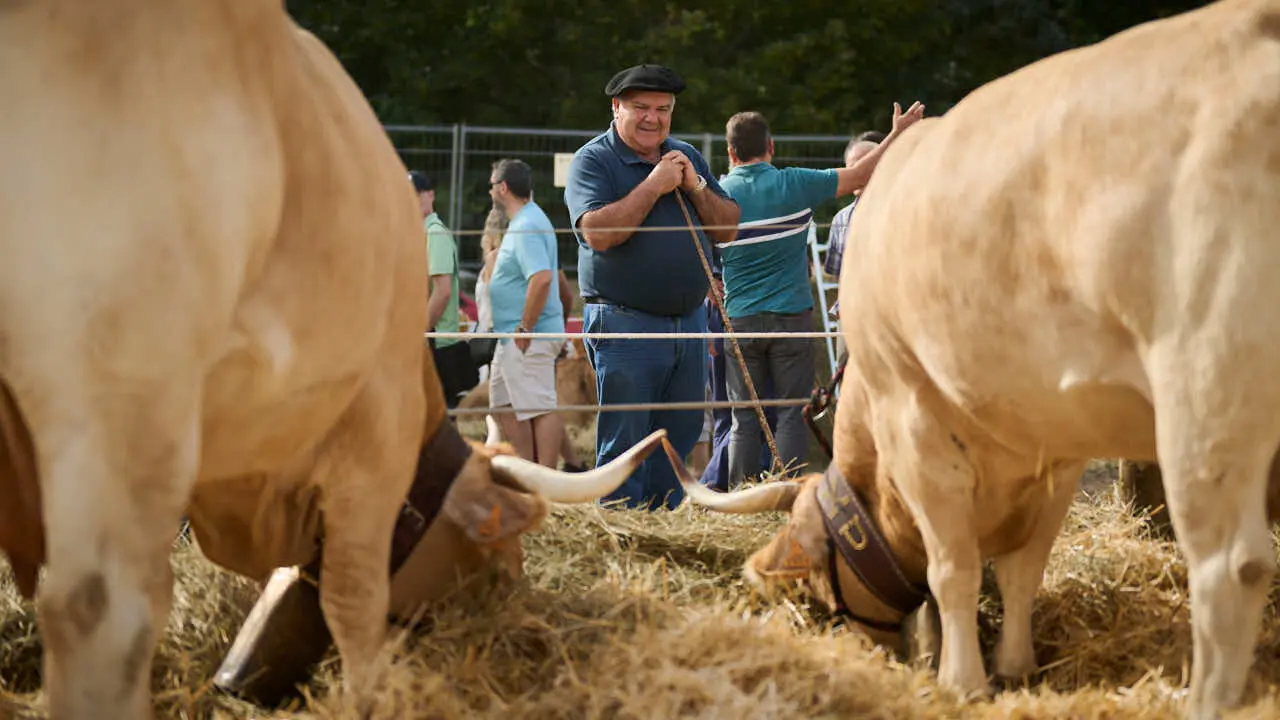 Feria ganadera &lsquo;Autentika&rsquo; en el Parque de la Runa de Pamplona. PABLO LASAOSA