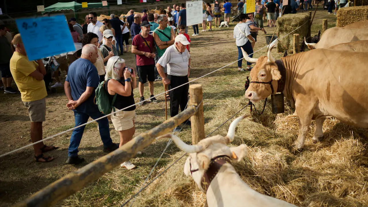 Feria ganadera &lsquo;Autentika&rsquo; en el Parque de la Runa de Pamplona. PABLO LASAOSA