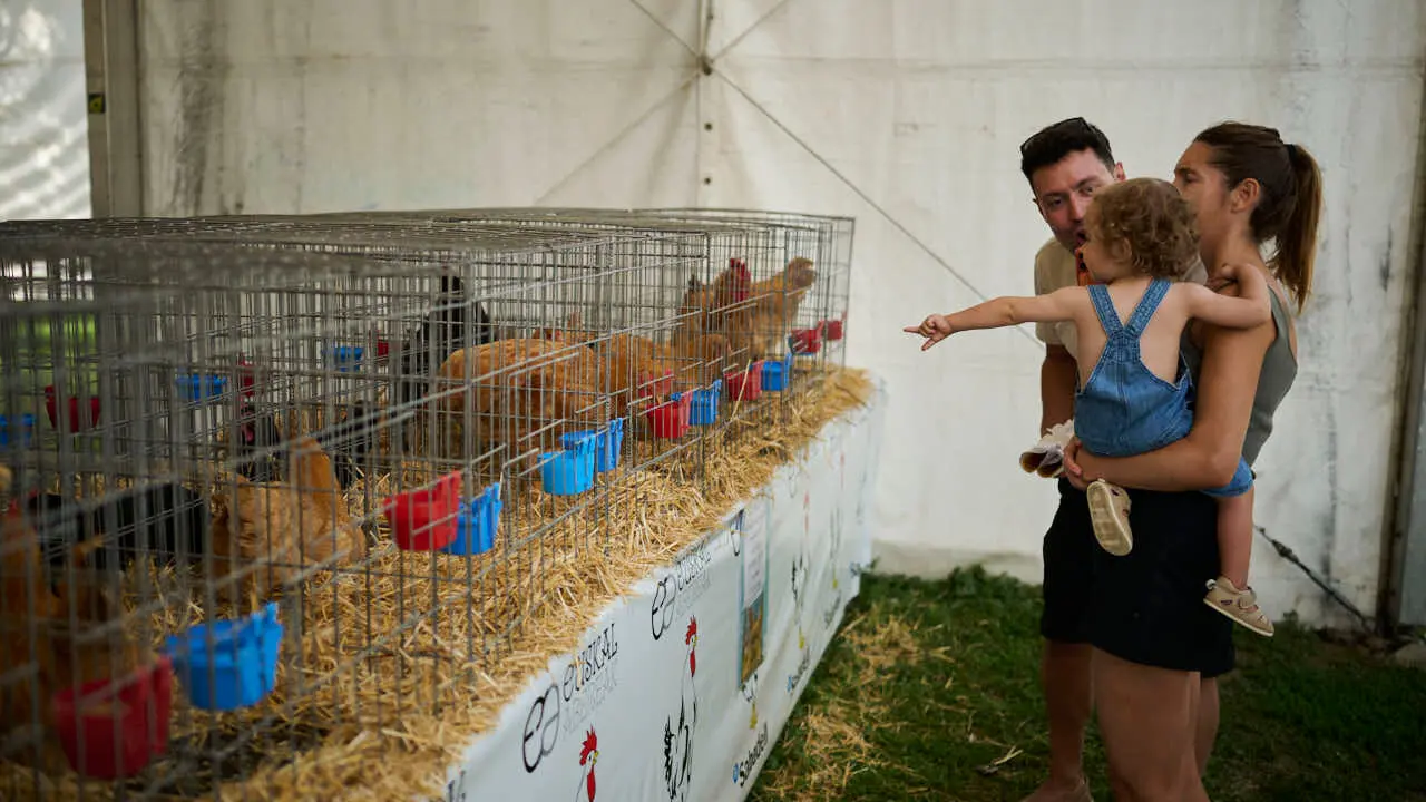 Feria ganadera &lsquo;Autentika&rsquo; en el Parque de la Runa de Pamplona. PABLO LASAOSA