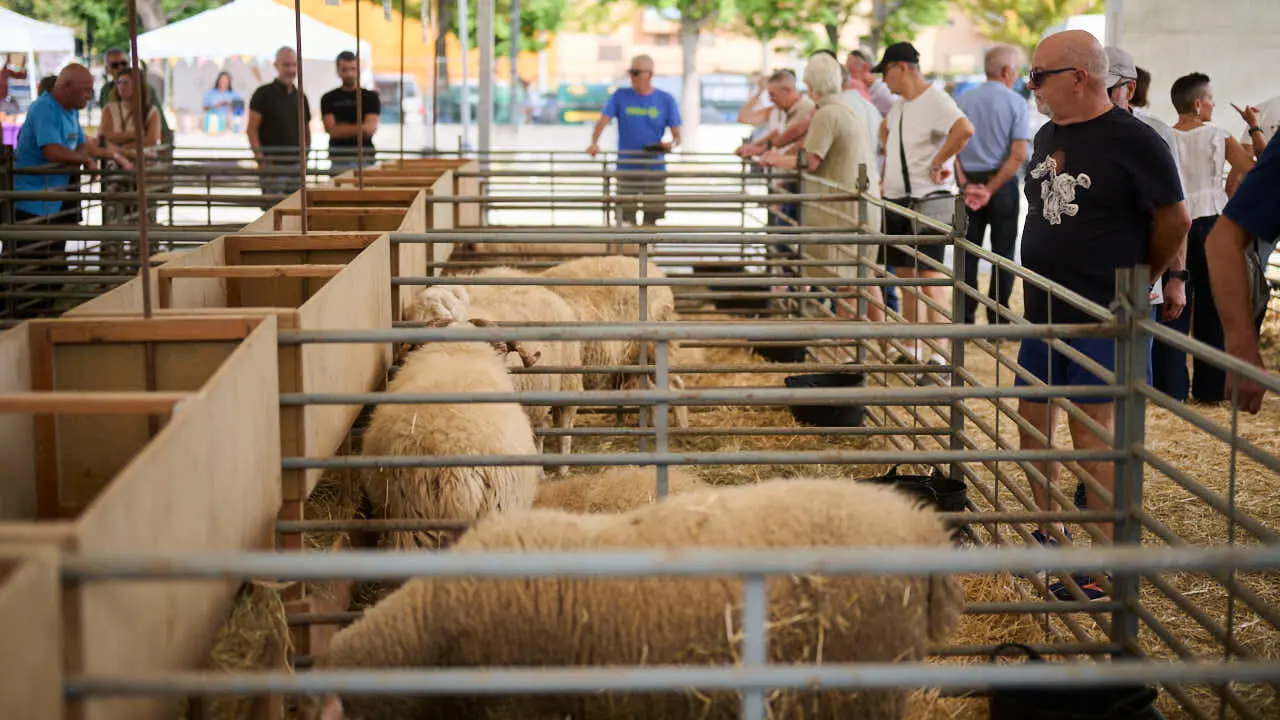 Feria ganadera &lsquo;Autentika&rsquo; en el Parque de la Runa de Pamplona. PABLO LASAOSA