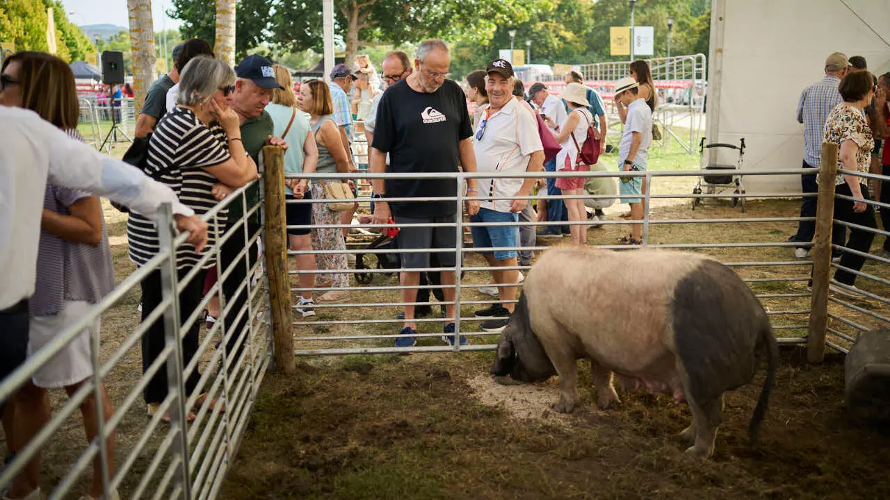 Feria ganadera &lsquo;Autentika&rsquo; en el Parque de la Runa de Pamplona. PABLO LASAOSA
