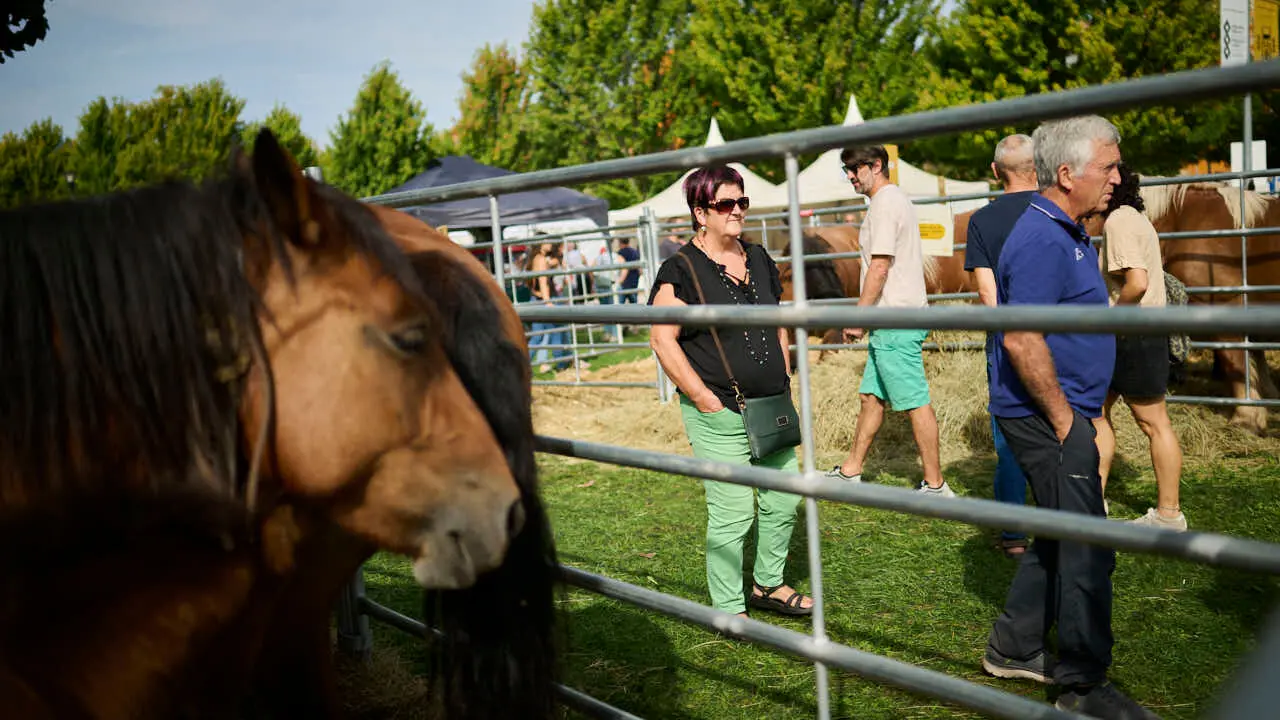 Feria ganadera &lsquo;Autentika&rsquo; en el Parque de la Runa de Pamplona. PABLO LASAOSA