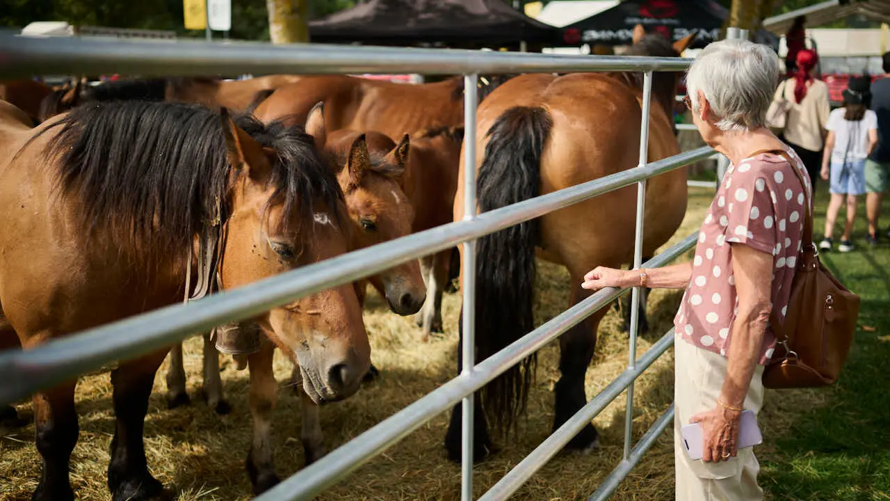 Feria ganadera &lsquo;Autentika&rsquo; en el Parque de la Runa de Pamplona. PABLO LASAOSA