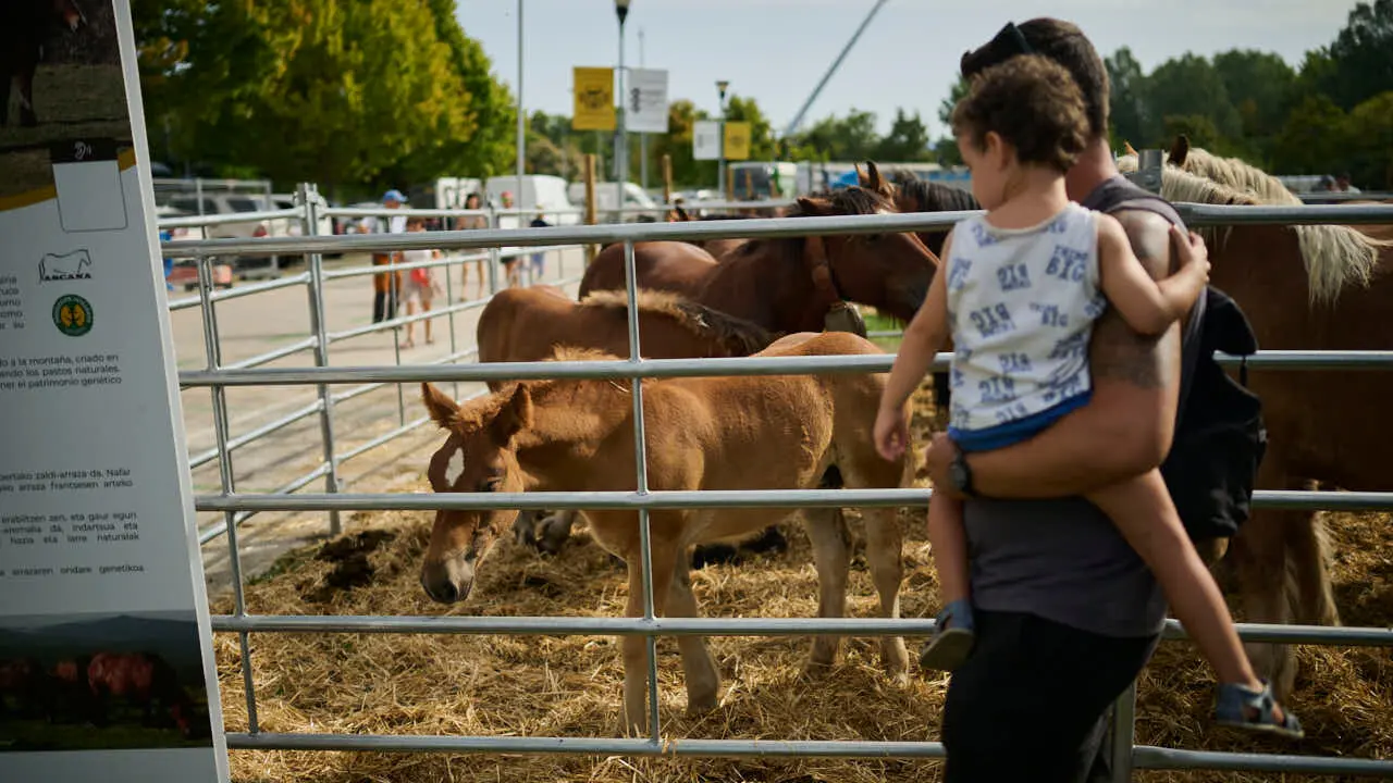 Feria ganadera &lsquo;Autentika&rsquo; en el Parque de la Runa de Pamplona. PABLO LASAOSA