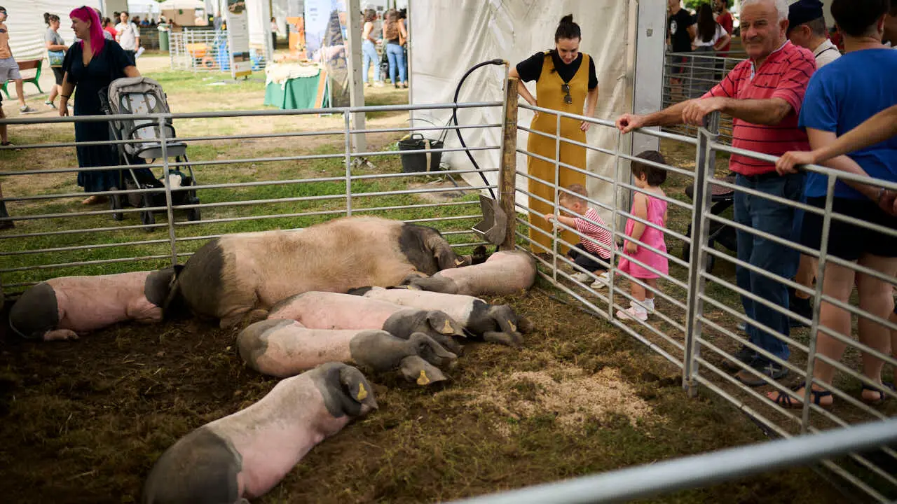Feria ganadera &lsquo;Autentika&rsquo; en el Parque de la Runa de Pamplona. PABLO LASAOSA