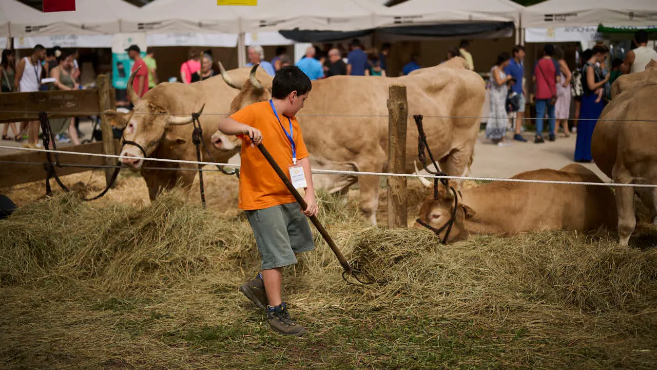 Feria ganadera &lsquo;Autentika&rsquo; en el Parque de la Runa de Pamplona. PABLO LASAOSA