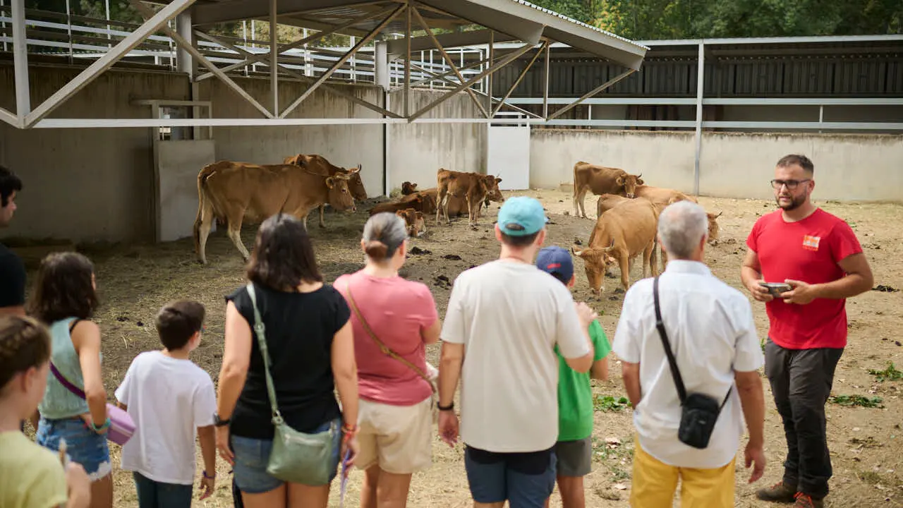 Feria ganadera &lsquo;Autentika&rsquo; en el Parque de la Runa de Pamplona. PABLO LASAOSA
