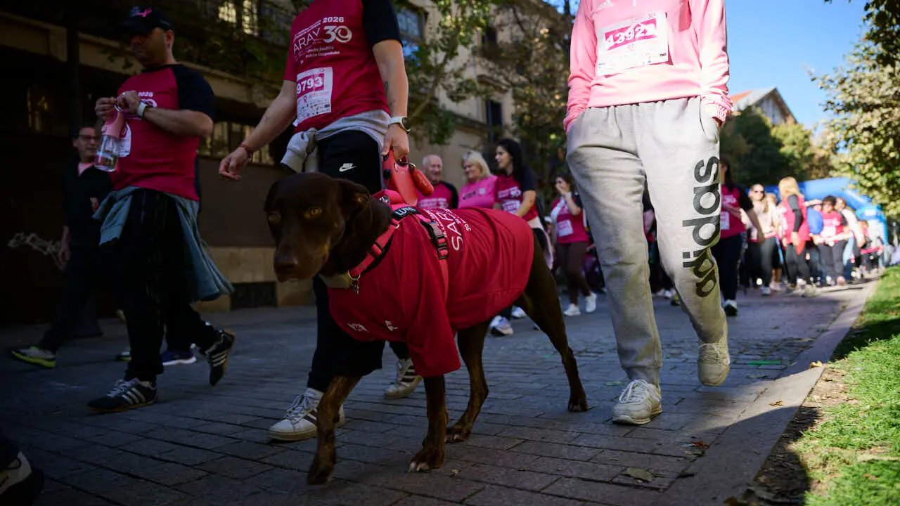 XV Carrera solidaria contra el c&aacute;ncer de mama organizada por Saray. PABLO LASAOSA