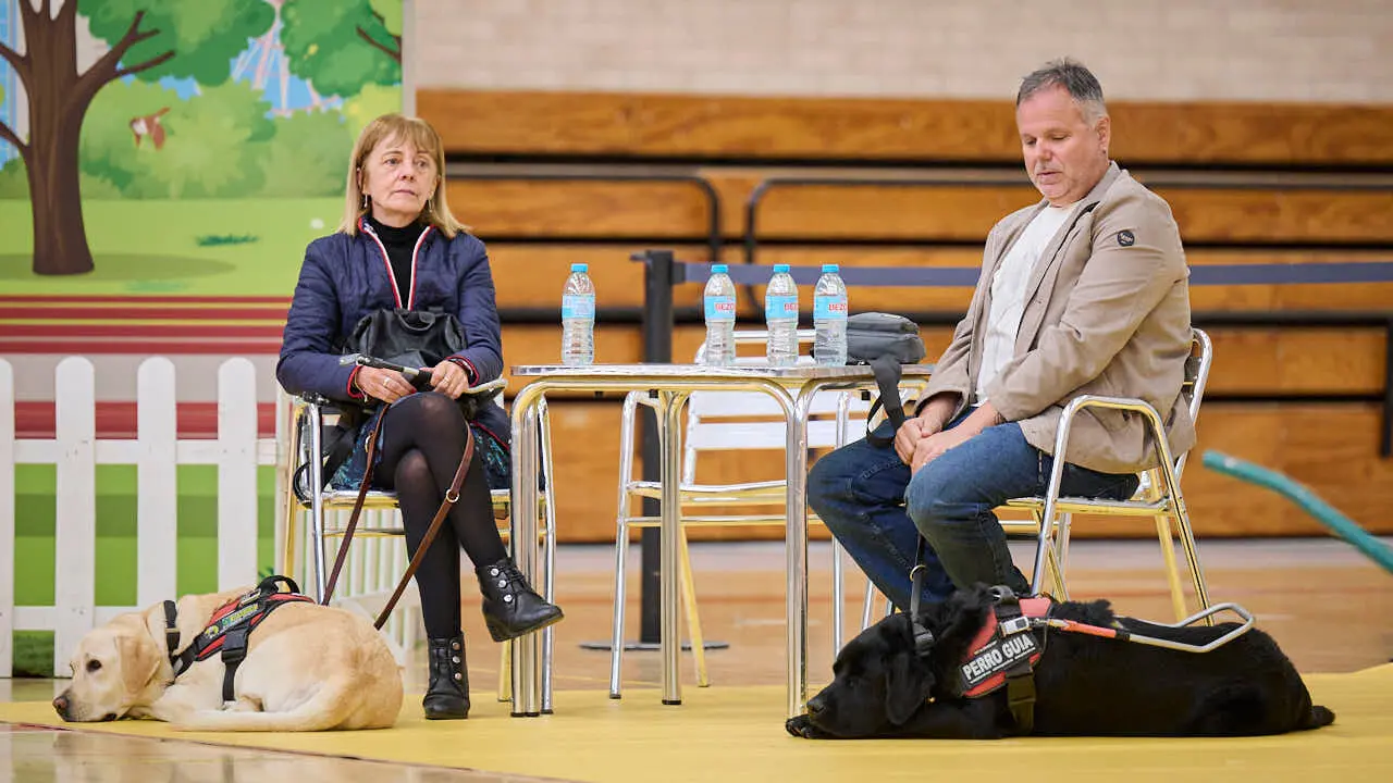 Exhibici&oacute;n de un nuevo modelo de perros gu&iacute;a en Navarra que organiza la Fundaci&oacute;n ONCE. PABLO LASAOSA