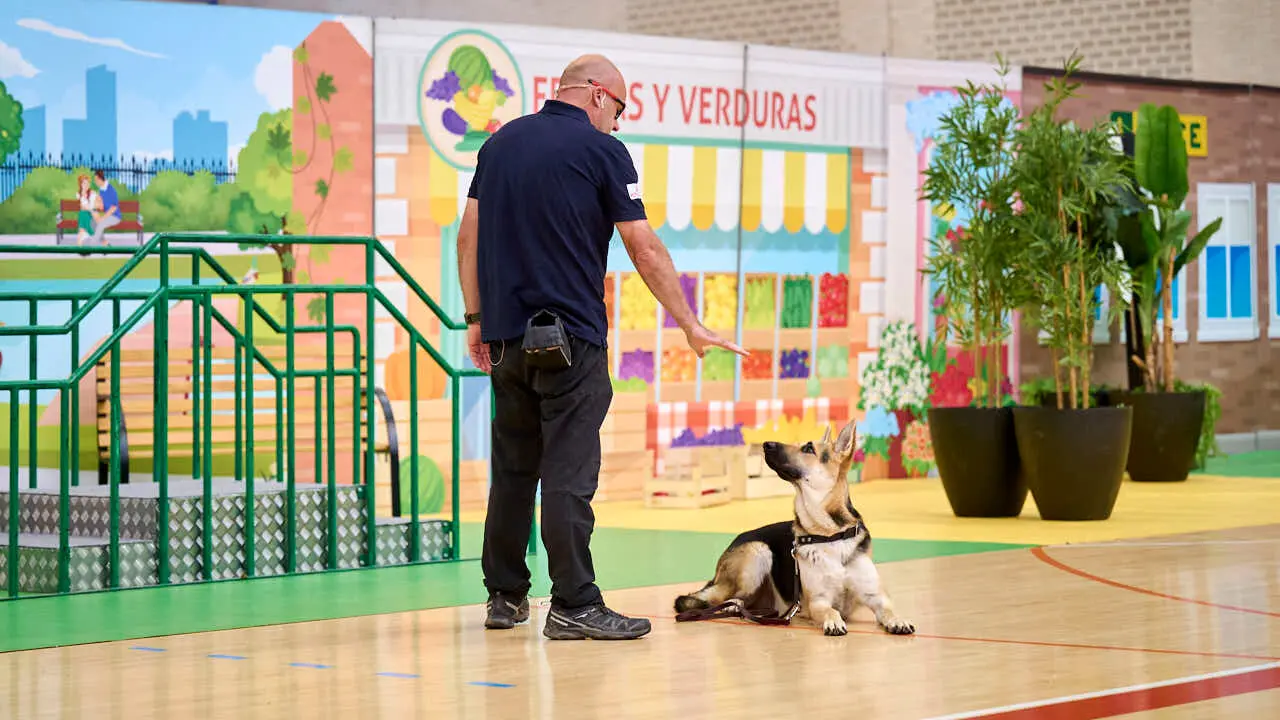 Exhibici&oacute;n de un nuevo modelo de perros gu&iacute;a en Navarra que organiza la Fundaci&oacute;n ONCE. PABLO LASAOSA