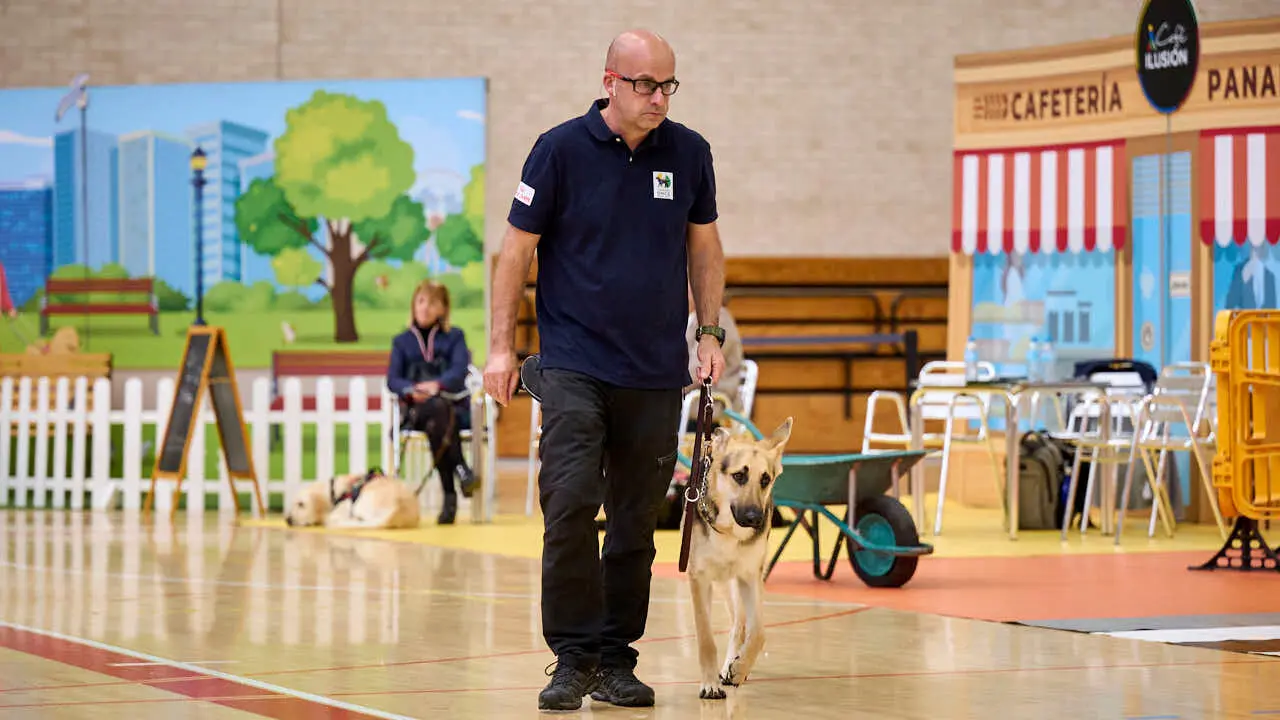 Exhibici&oacute;n de un nuevo modelo de perros gu&iacute;a en Navarra que organiza la Fundaci&oacute;n ONCE. PABLO LASAOSA