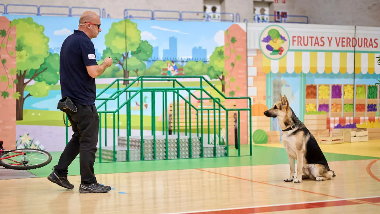 Exhibici&oacute;n de un nuevo modelo de perros gu&iacute;a en Navarra que organiza la Fundaci&oacute;n ONCE. PABLO LASAOSA