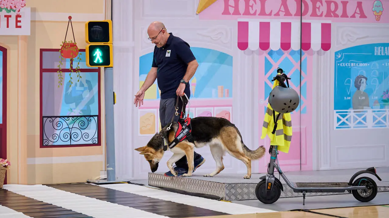 Exhibici&oacute;n de un nuevo modelo de perros gu&iacute;a en Navarra que organiza la Fundaci&oacute;n ONCE. PABLO LASAOSA