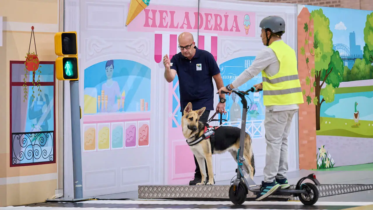Exhibici&oacute;n de un nuevo modelo de perros gu&iacute;a en Navarra que organiza la Fundaci&oacute;n ONCE. PABLO LASAOSA
