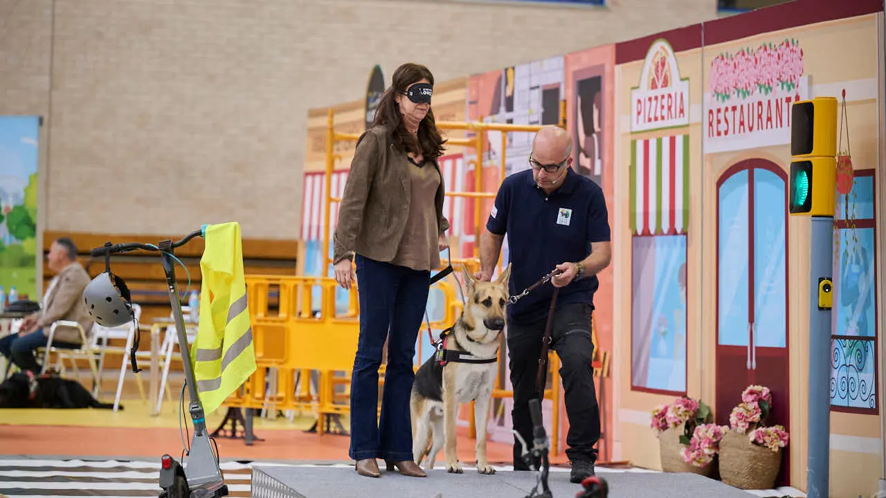 Exhibici&oacute;n de un nuevo modelo de perros gu&iacute;a en Navarra que organiza la Fundaci&oacute;n ONCE. PABLO LASAOSA