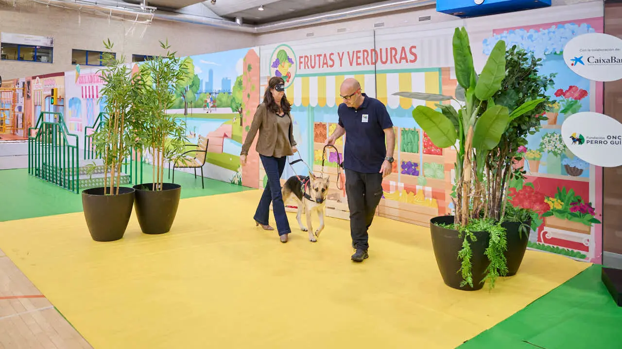 Exhibici&oacute;n de un nuevo modelo de perros gu&iacute;a en Navarra que organiza la Fundaci&oacute;n ONCE. PABLO LASAOSA