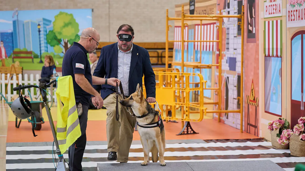 Exhibici&oacute;n de un nuevo modelo de perros gu&iacute;a en Navarra que organiza la Fundaci&oacute;n ONCE. PABLO LASAOSA