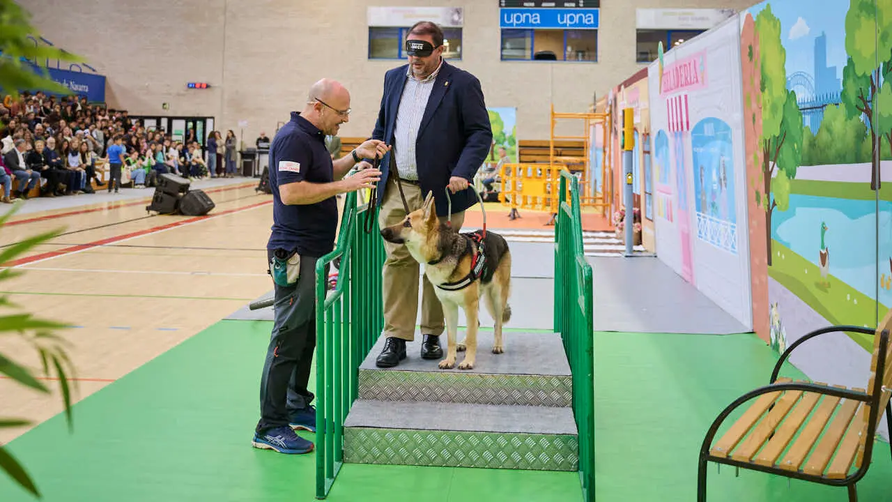 Exhibici&oacute;n de un nuevo modelo de perros gu&iacute;a en Navarra que organiza la Fundaci&oacute;n ONCE. PABLO LASAOSA
