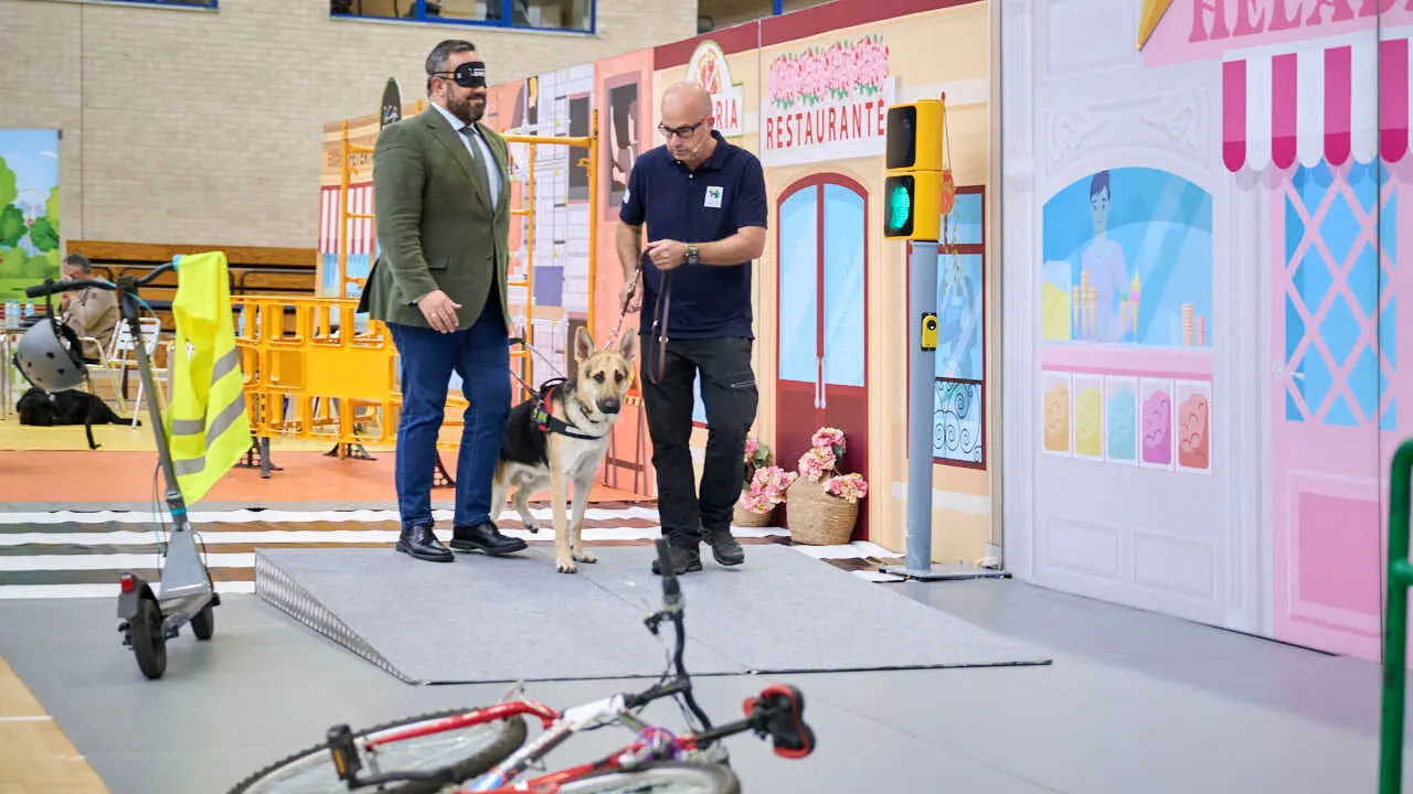 Exhibici&oacute;n de un nuevo modelo de perros gu&iacute;a en Navarra que organiza la Fundaci&oacute;n ONCE. PABLO LASAOSA