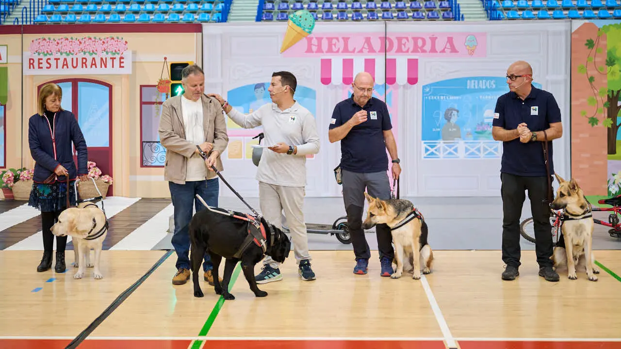 Exhibici&oacute;n de un nuevo modelo de perros gu&iacute;a en Navarra que organiza la Fundaci&oacute;n ONCE. PABLO LASAOSA