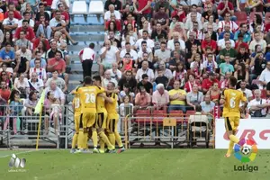 Galería: Derrota de Osasuna en Almería