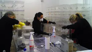 Las elecciones en Pamplona, en cifras: 600 urnas, 150 cabinas y más de 147.000 votantes