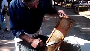 Un apicultor explica el proceso de extracción de la miel